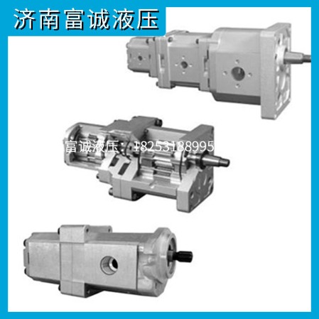 丹佛斯齒輪串泵,多聯(lián)泵